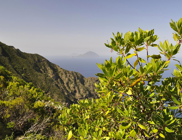 lipari-4